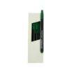 Penflex OHP Fine Point Permanent Marker Green