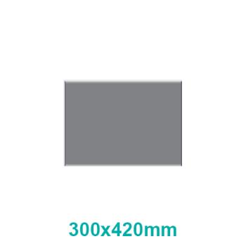 Parrot Flush Wall Sign Frame 300x420mm A3