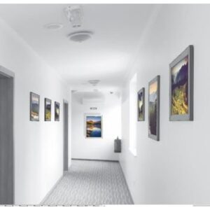 Parrot Poster Frame A2 625 x 450mm Single Mitred Econo