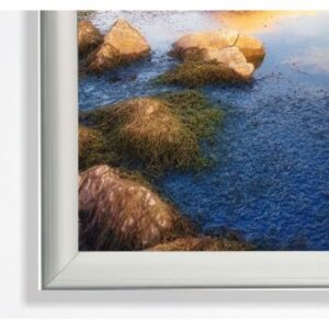 Parrot Poster Single Mitred