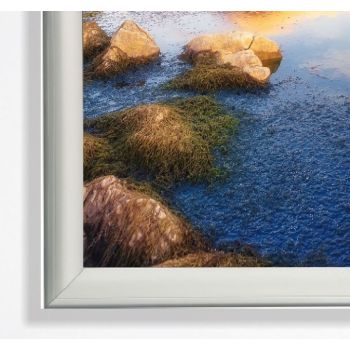 Parrot Poster Frame A0 1250 x 900mm Single Mitred