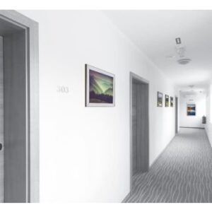 Parrot Poster Single Mitred