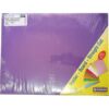 Donau CTP Board Folder Foolscap 160gsm Bright Purple 100s