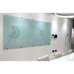 Parrot Glass Whiteboard Non-Magnetic Printed 1200 x 1200mm