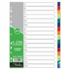 Treeline A4 Index Divider PVC Colour 1-31 Tab Printed