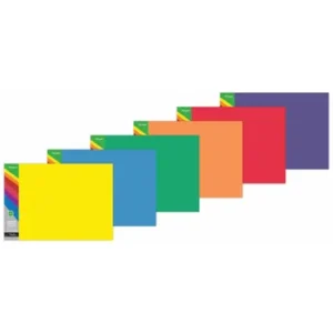 Treeline Premium Tint Manilla Folders 204gsm Pack 100s Blue-Green-Orange-Purple-Yellow-Red