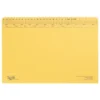 Tidy Files A4 Executive Heavy Duty File Flaps No Clip Cream - Pack 25