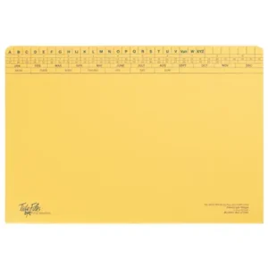 Tidy Files A4 Executive Light Weight File Cream - Pack 25