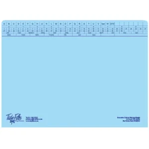 Tidy Files A4 Executive Medium Weight File With Tri-Clip Blue - Pack 25