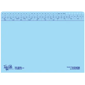 Tidy Files A4 Executive Medium Weight File With Tri-Clip Blue - Pack 25