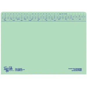 Tidy Files A4 Executive Medium Weight File With Tri-Clip Green - Pack 25