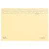 Tidy Files A4 Executive Light Weight File Cream - Pack 25