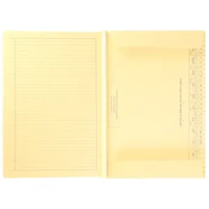 074010-PK25-Tidy Files A4 Executive Heavy Duty File Flaps No Clip Cream - Pack 25 (2)