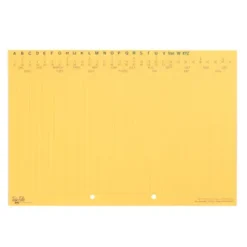 074012-PK25-Tidy Files A4 Divider File Card Punched 157gsm - Pack 25