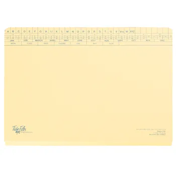 Tidy Files A4 Executive Magna File Dispo Clip Cream - Pack 25