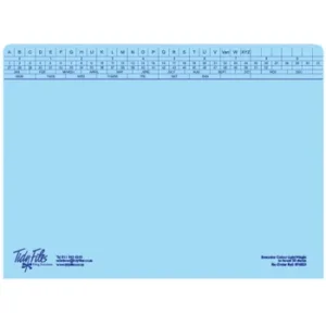 074023B-PK25-Tidy Files A4 Executive Light Weight File Blue - Pack 25