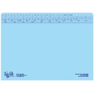 Tidy Files A4 Executive Light Weight File Blue - Pack 25