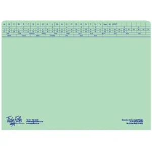 Tidy Files A4 Executive Light Weight File Green - Pack 25