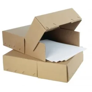 080111-Tidy Files Legal Box With Flap And Staples Kraft-2