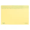 Tidy Files A4 Economy Heavy Duty With Flap Cream - Pack 25