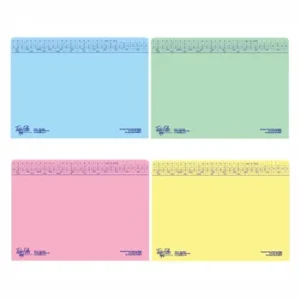 Tidy Files A4 Executive Medium Weight Files Assorted Colours