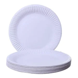 Aro Paper Plates 230mm - Pack 10.b